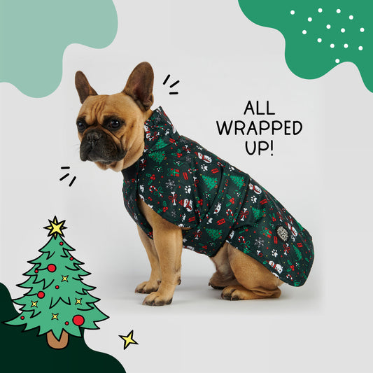 All Wrapped Up - All Breeds Jacket