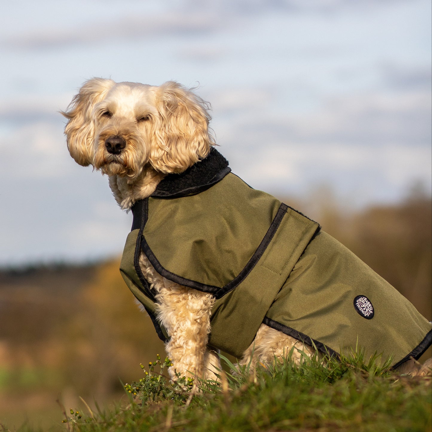 Essentials Jacket - All Breeds