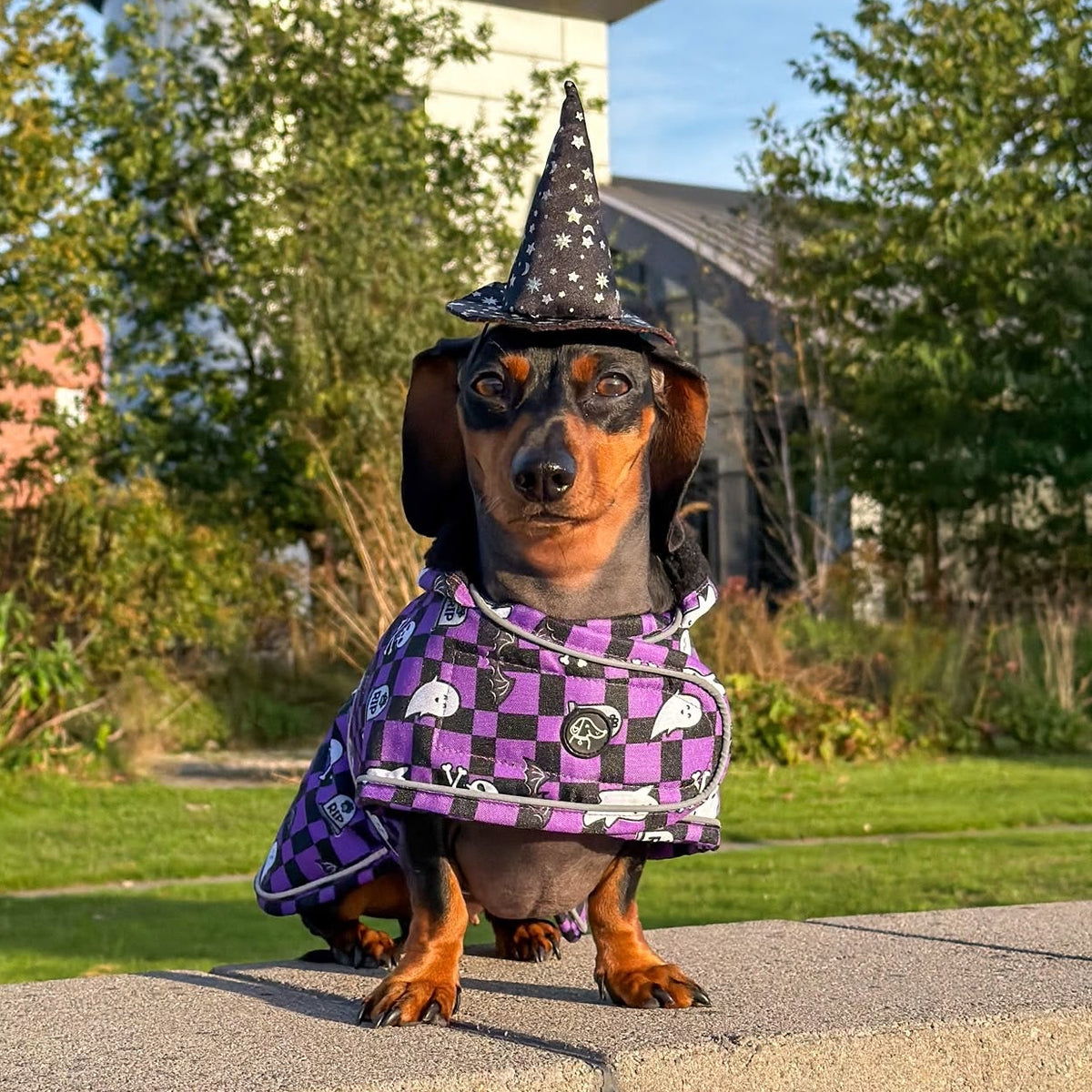 Spooky Sausage