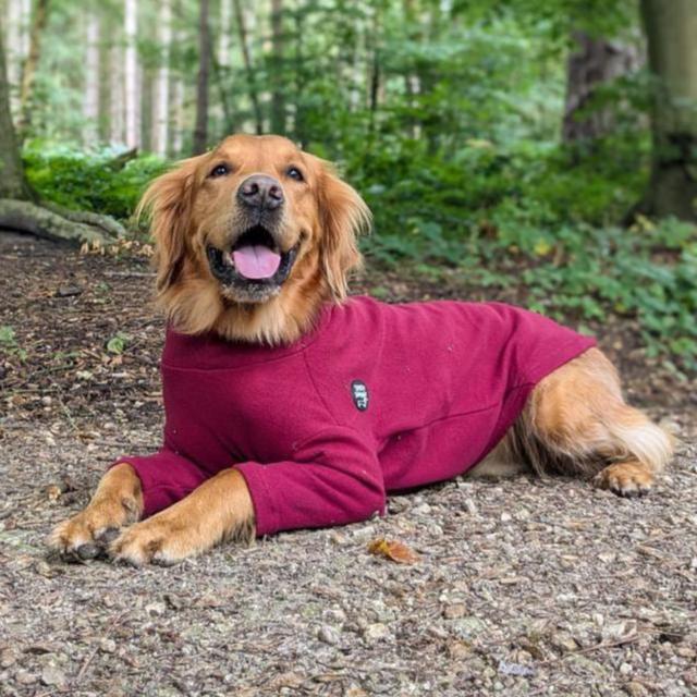 Essentials Rollneck Jumper - All Breeds