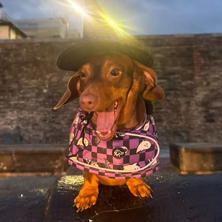 Spooky Sausage