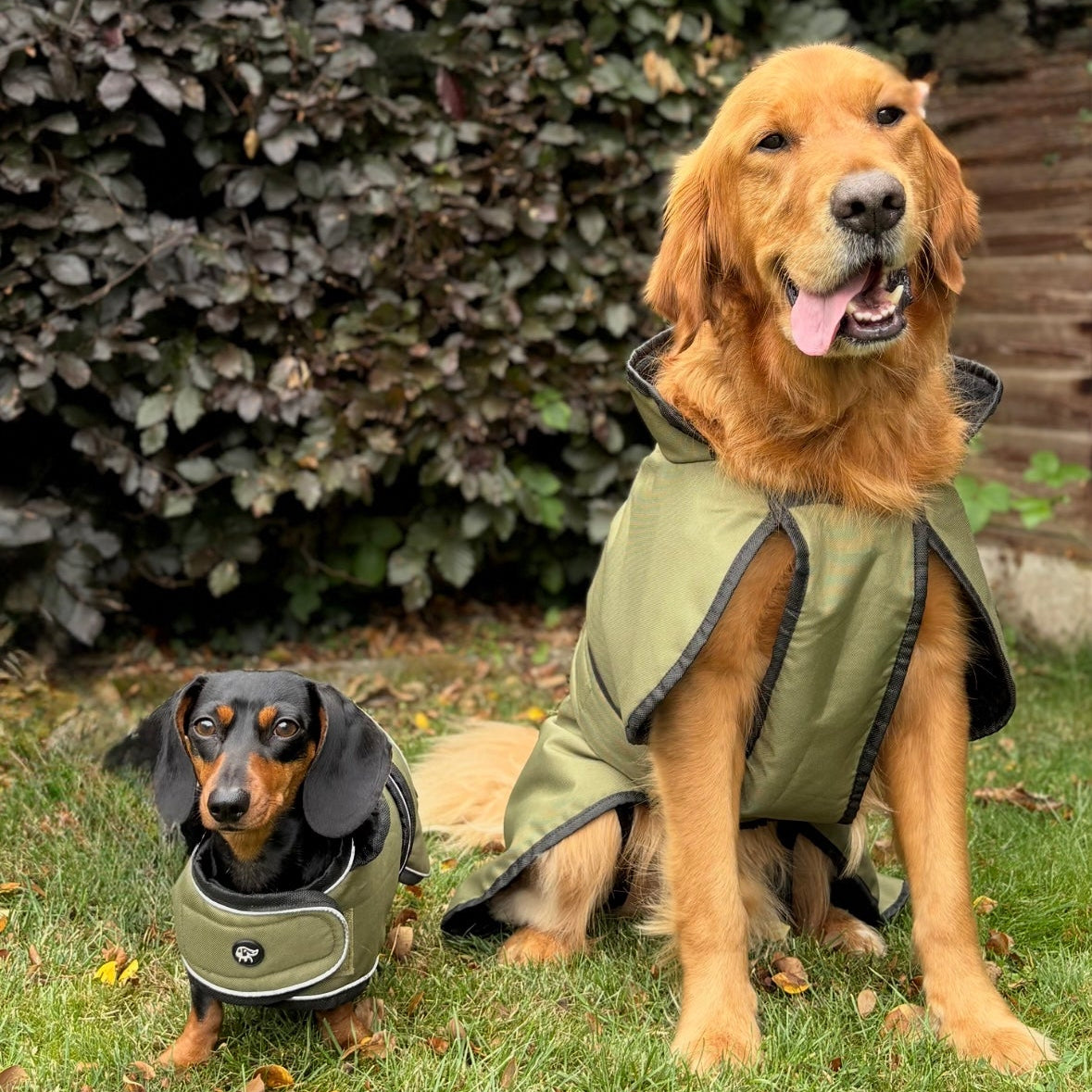 Essentials Jacket - All Breeds