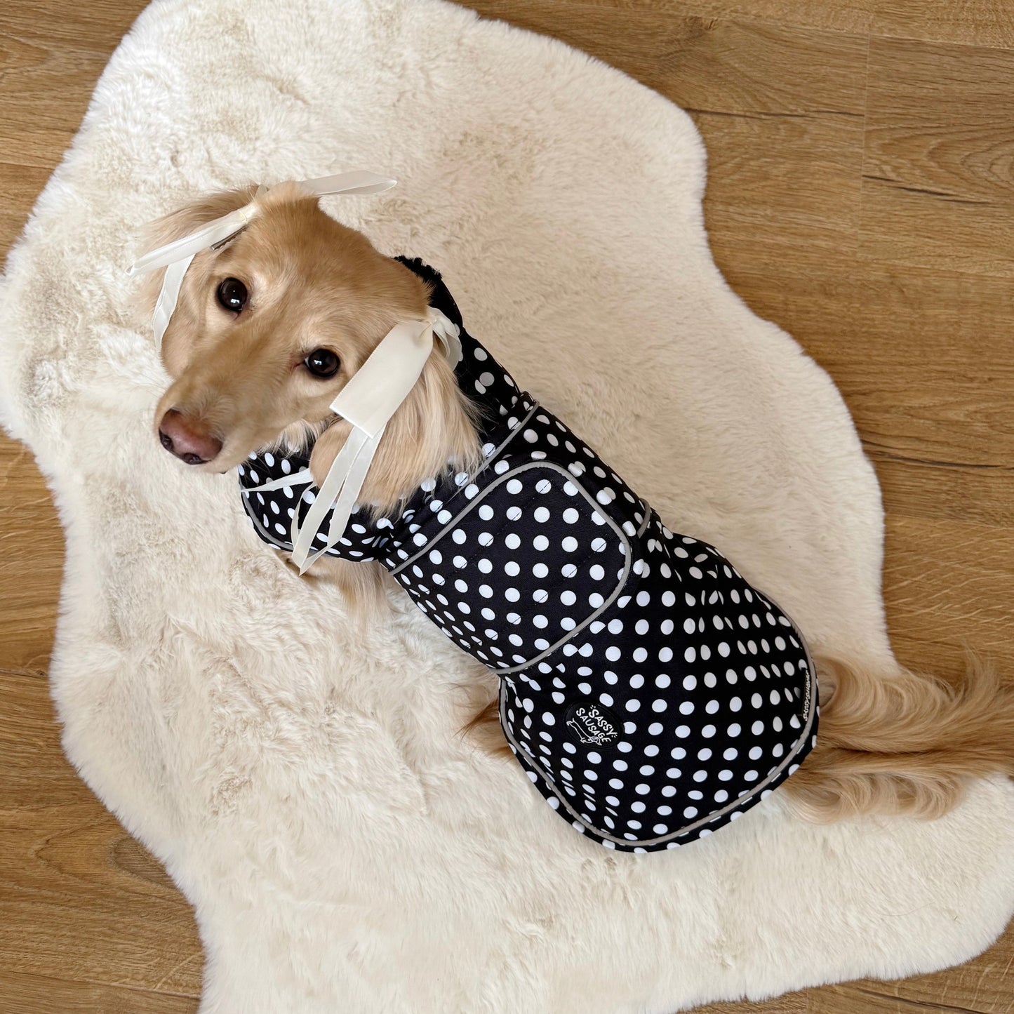 Polka Dot Collection