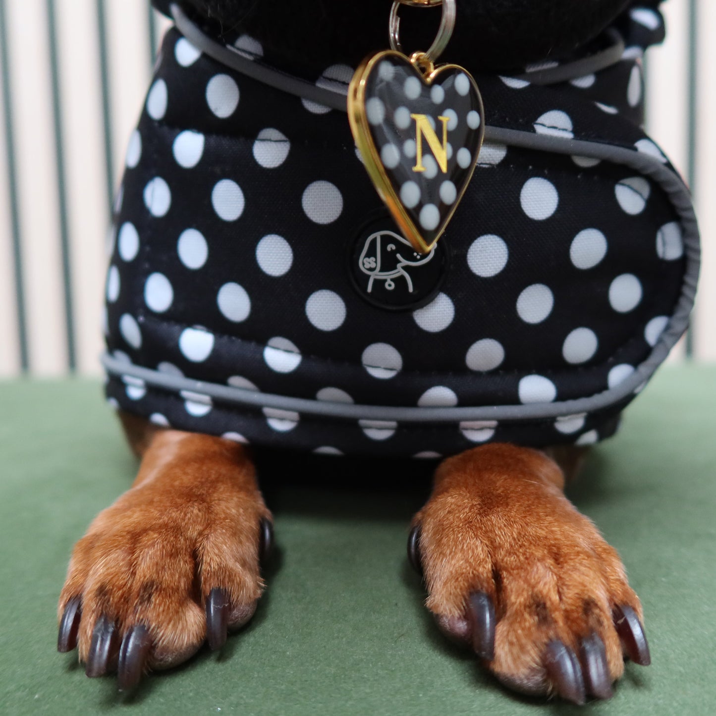 Polka Dot Collection
