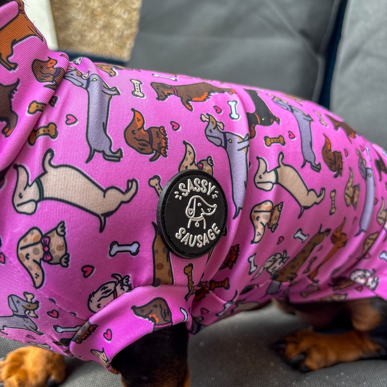 A close-up of a dachshund wearing a bright pink dog shirt with a cartoon sausage pattern and a circular black brand patch that reads 'Sassy Sausage'.