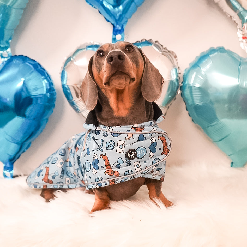 Cupid's Kisses - Dachshund Jacket