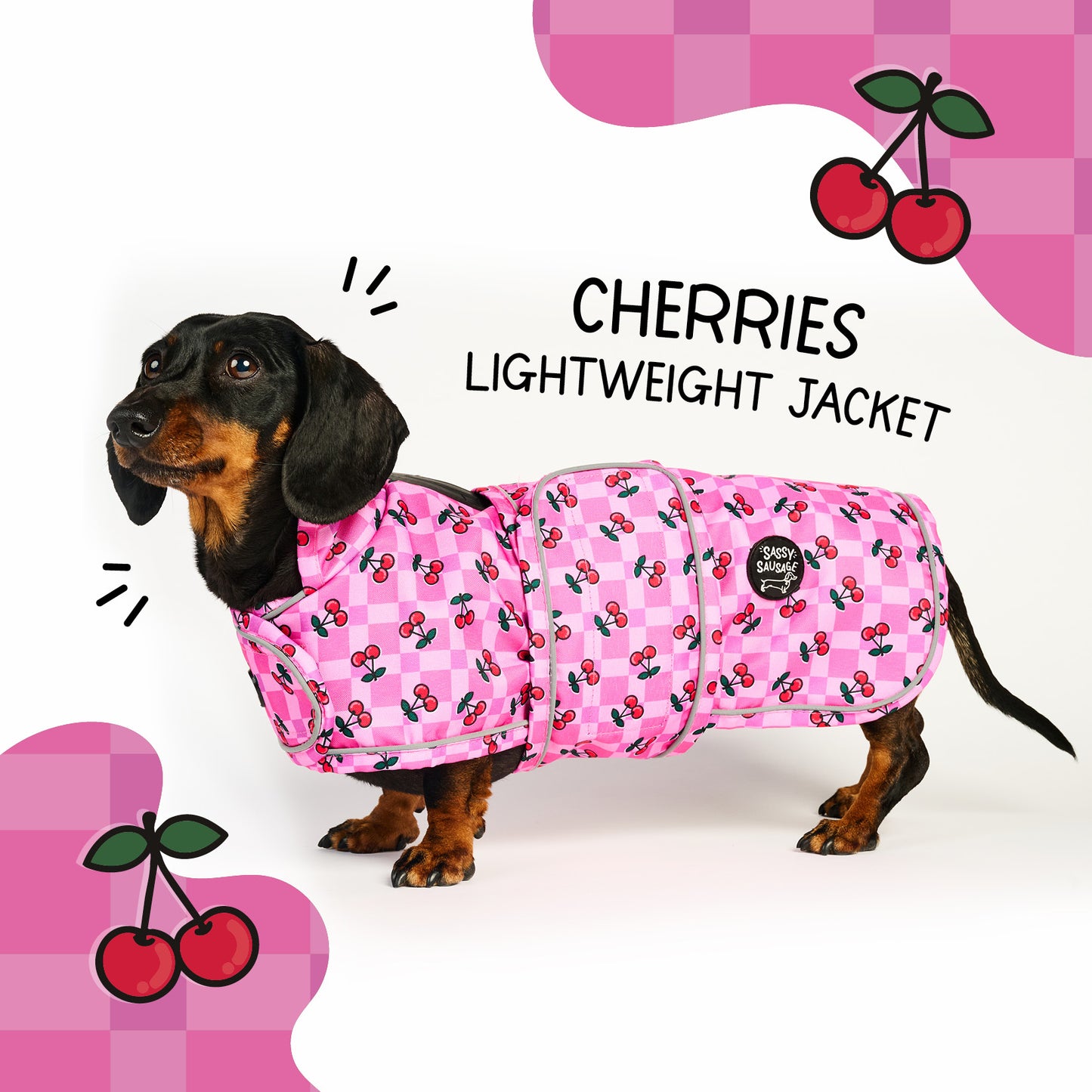Cherries - Dachshund Jacket