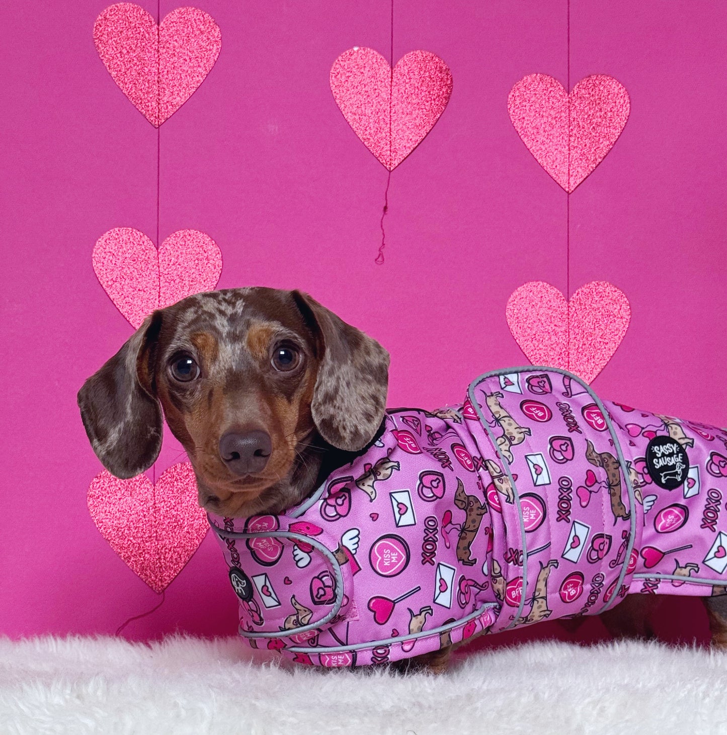 Cupid's Kisses - Dachshund Jacket