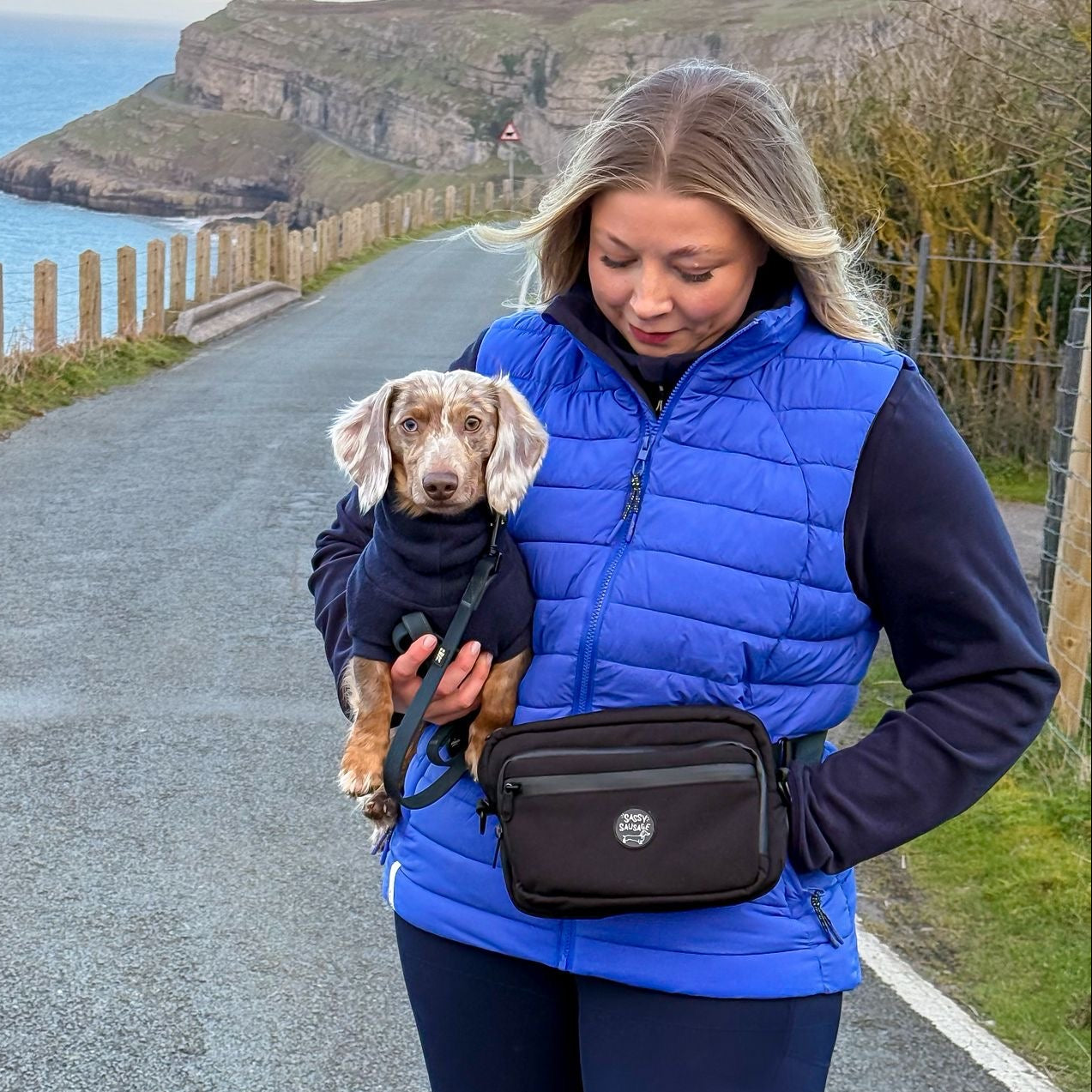 Ultimate Dog Walking Bag!