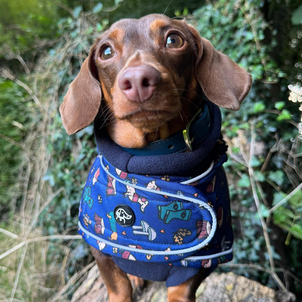 Weenie Woodland