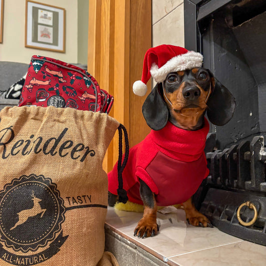 Christmas Limited Edition 'Red Wine' Rollneck Jumper