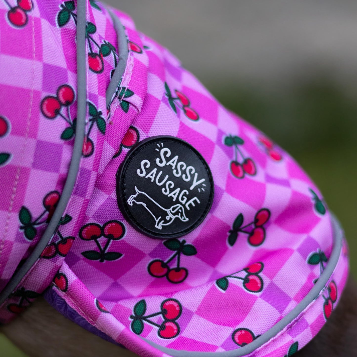 Pink checkered shoe with cherry pattern and 'Sassy Sausage' logo on a blurred background