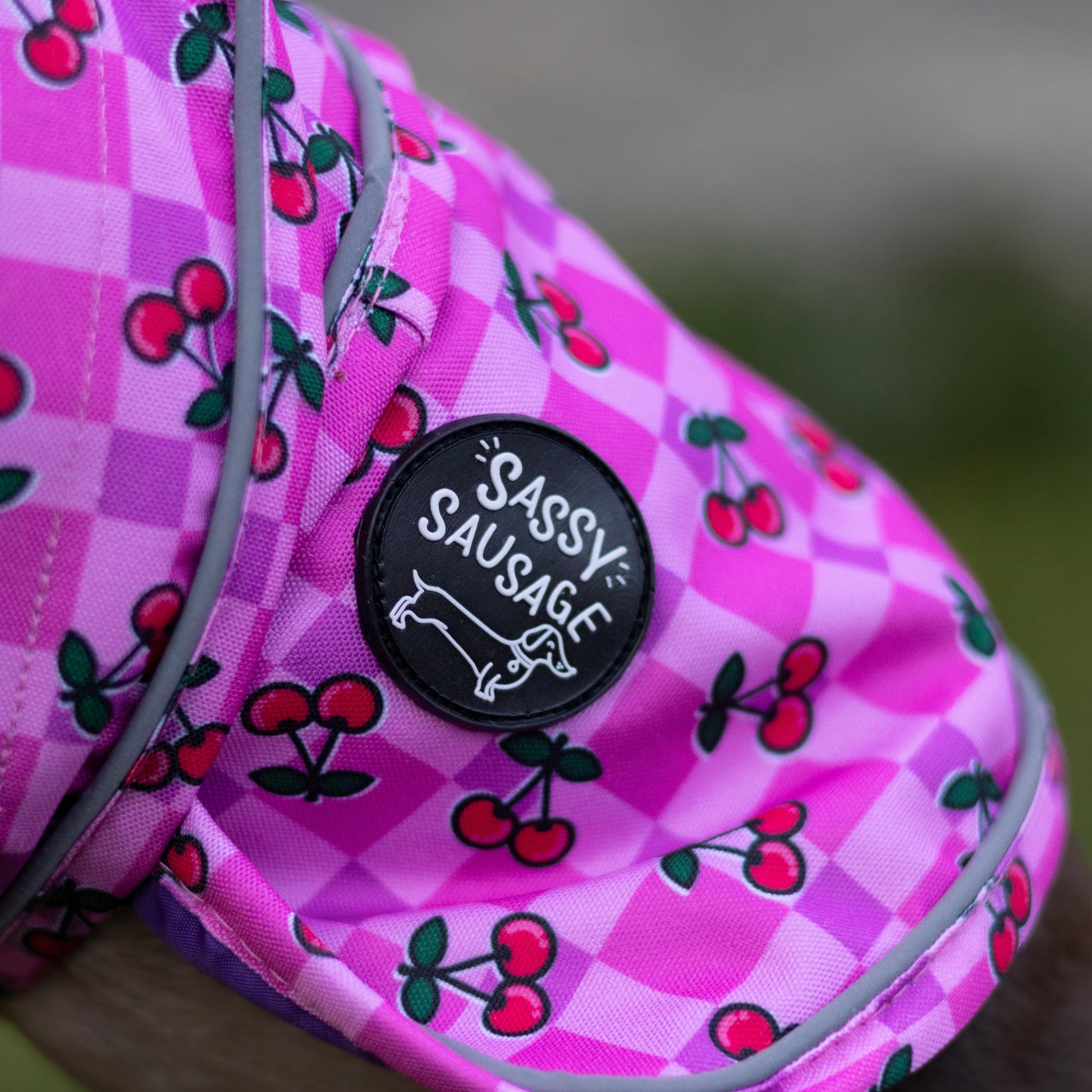Pink checkered shoe with cherry pattern and 'Sassy Sausage' logo on a blurred background