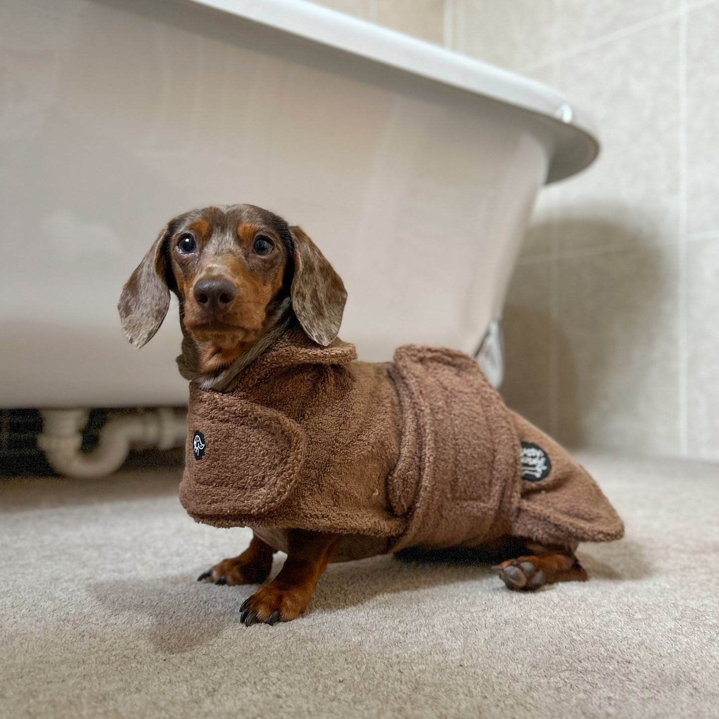 Dachshund Towel Robe