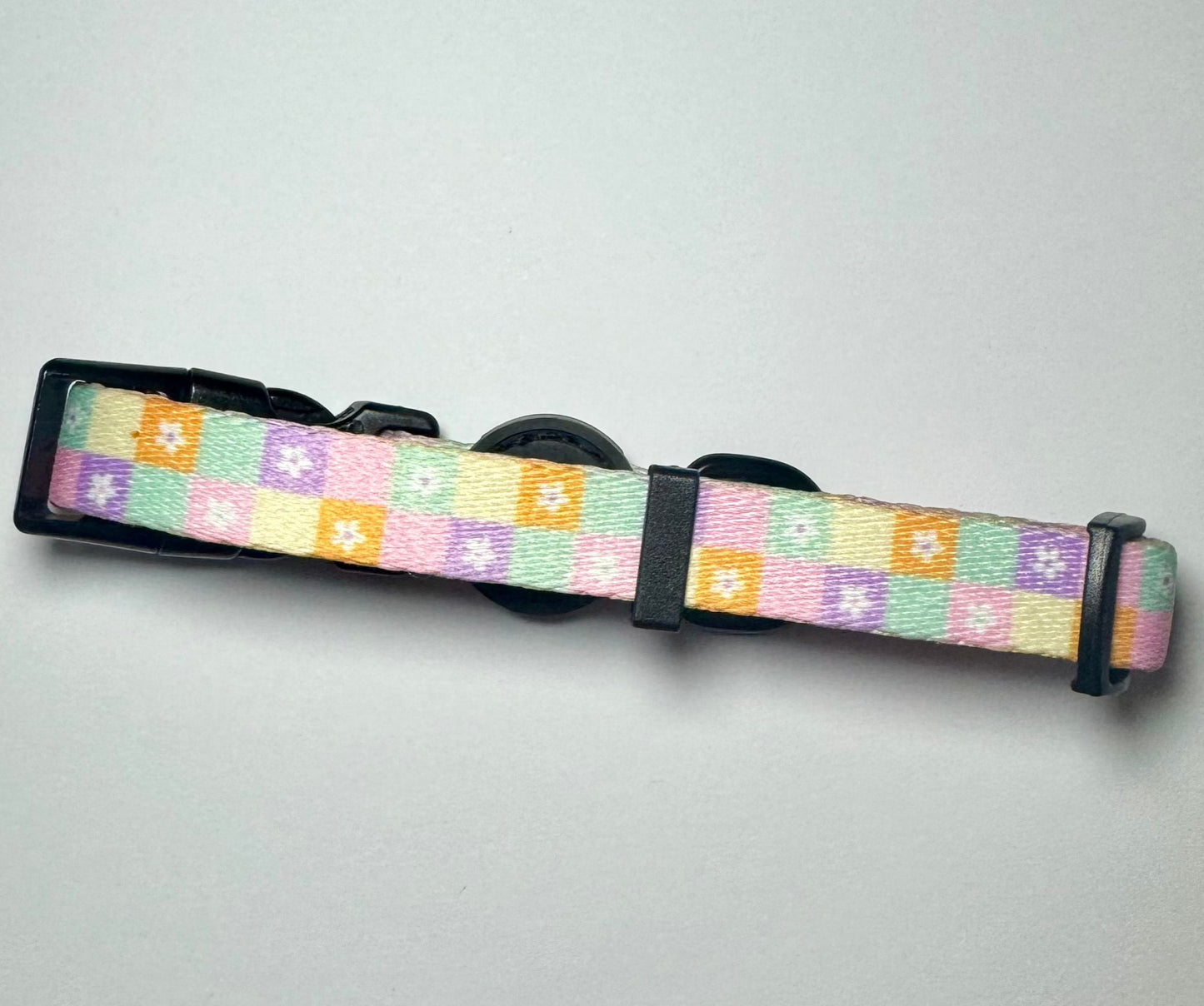 Dachshund Collar