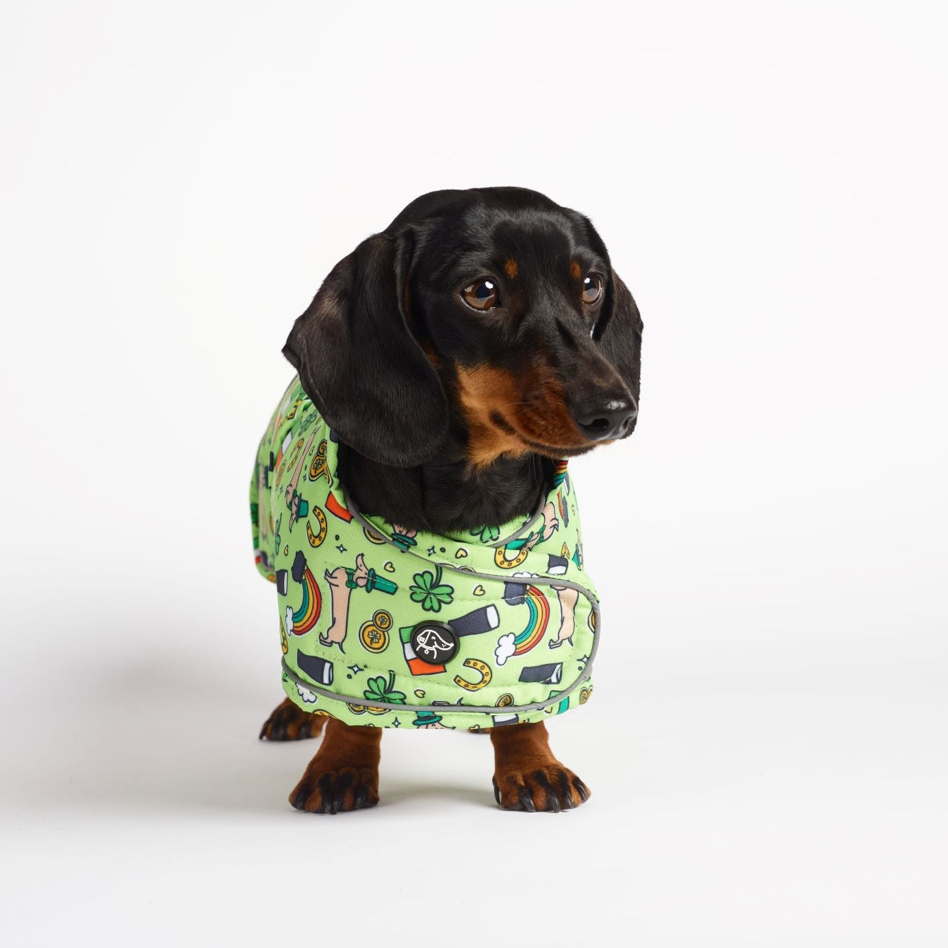 Lucky Charm - Dachshund Jacket