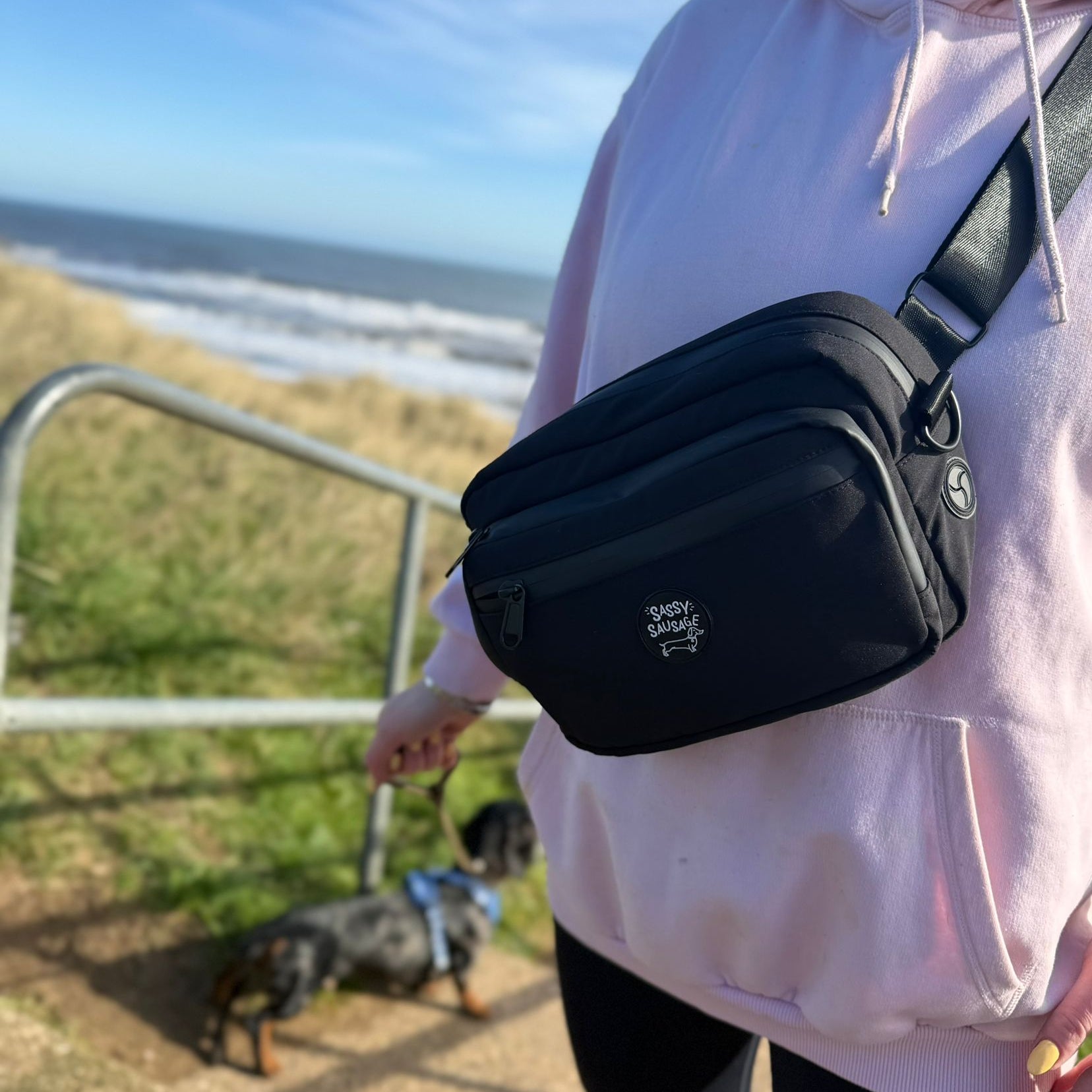 Person walking a dog on a beach with a black crossbody bag
