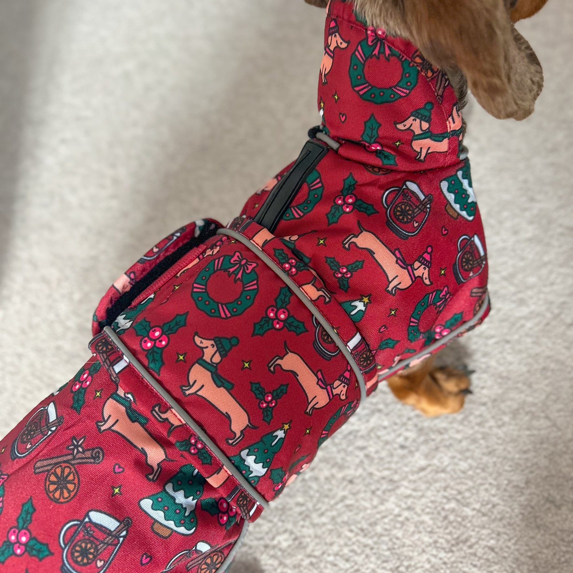 Dog wearing a red holiday-themed coat with patterns on a neutral background