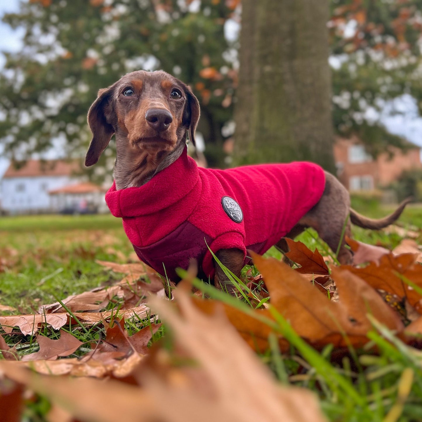 Christmas Limited Edition 'Red Wine' Rollneck Jumper