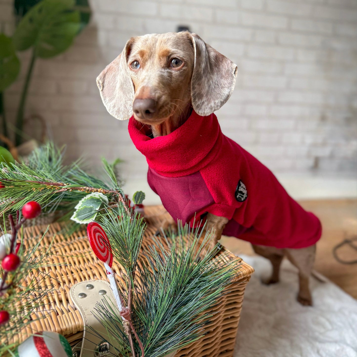 Christmas Limited Edition 'Red Wine' Rollneck Jumper