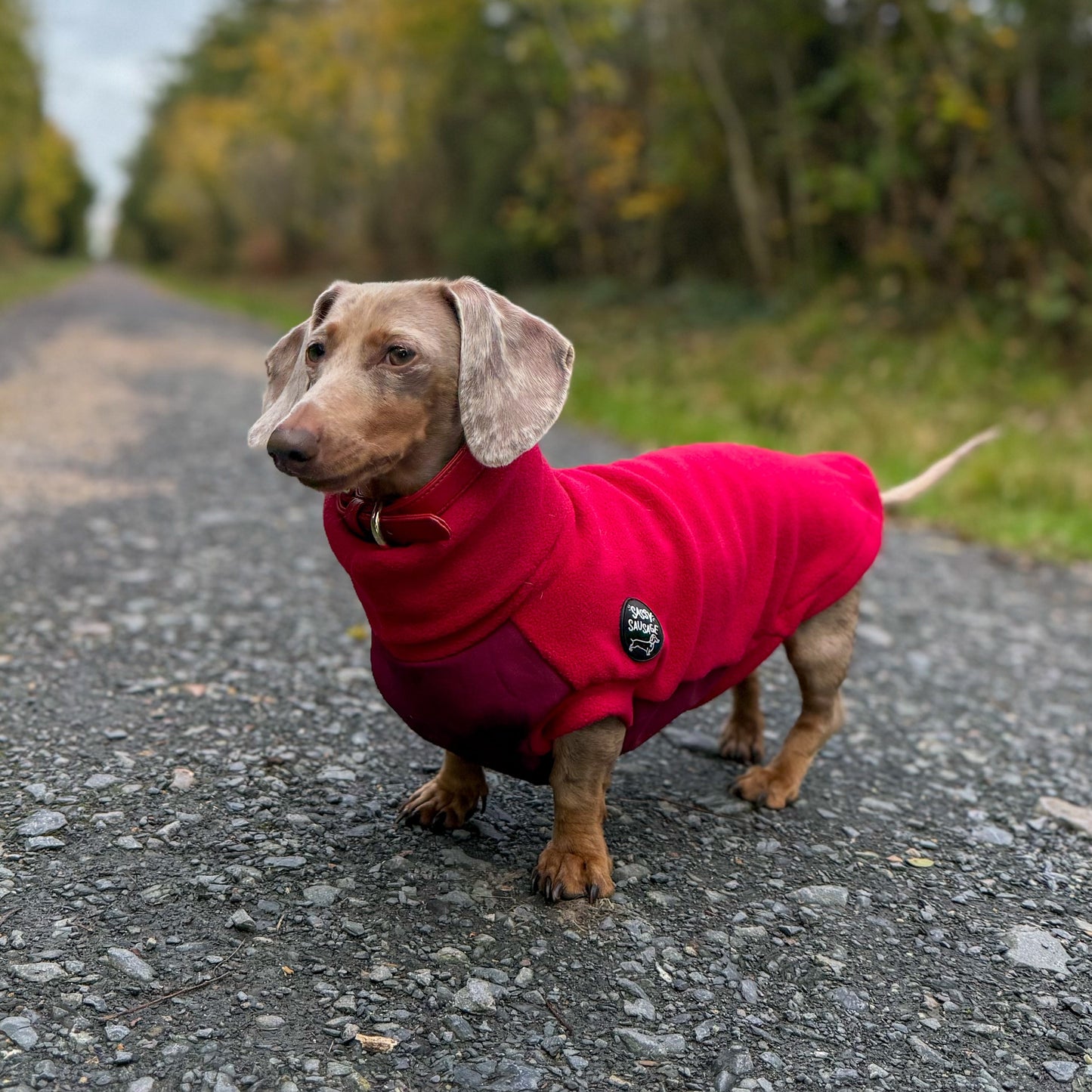 Christmas Limited Edition 'Red Wine' Rollneck Jumper