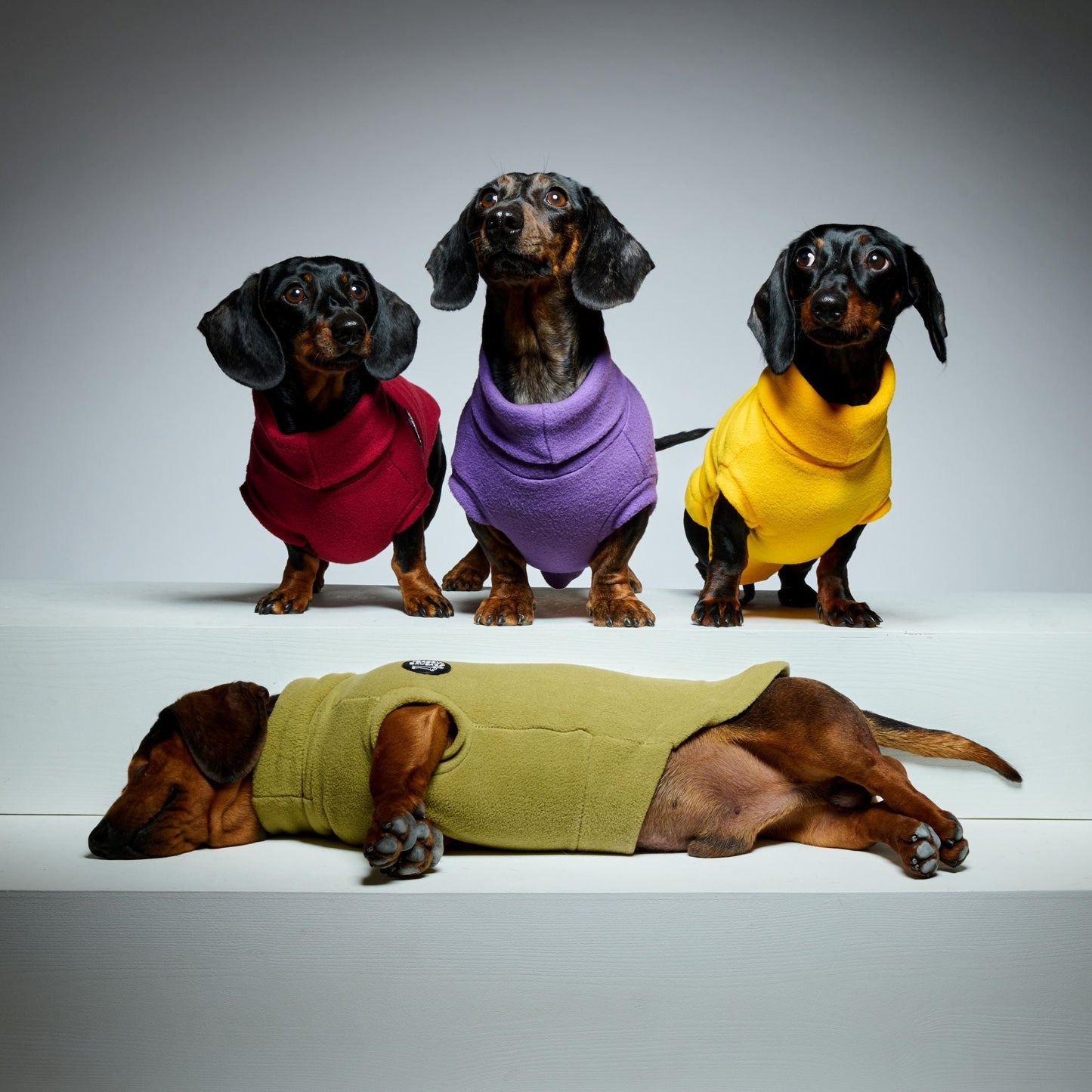 Essentials Rollneck Jumper - Dachshund