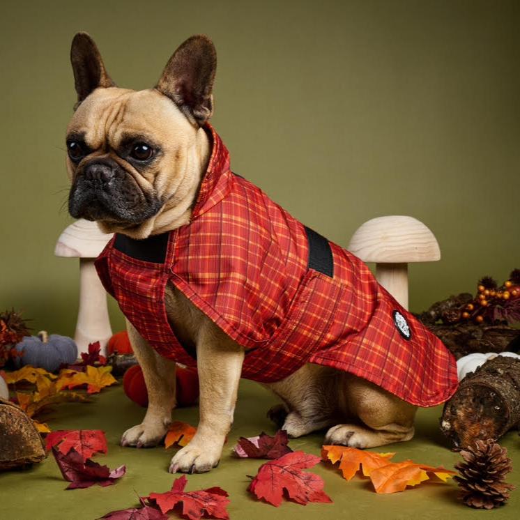 Autumnal Plaid - All Breeds Jacket