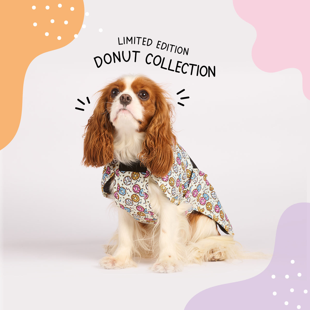 Donut - All Breeds Jacket