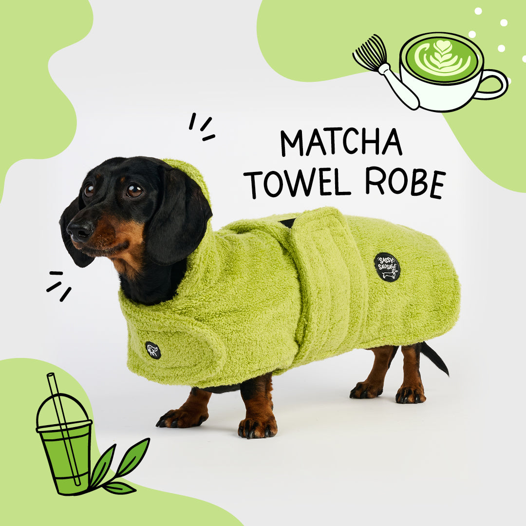 Dachshund Towel Robe