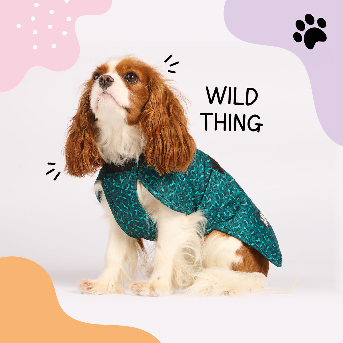 Wild Thing - All Breeds Jacket