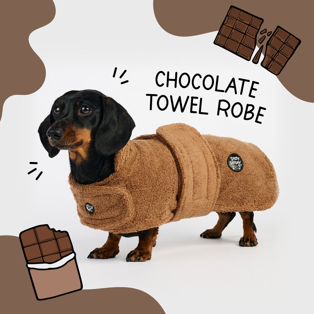 Dachshund Towel Robe