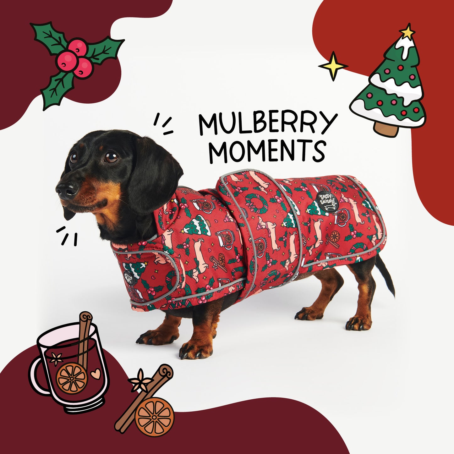 Dog wearing a red holiday coat with Christmas-themed illustrations on a white background.