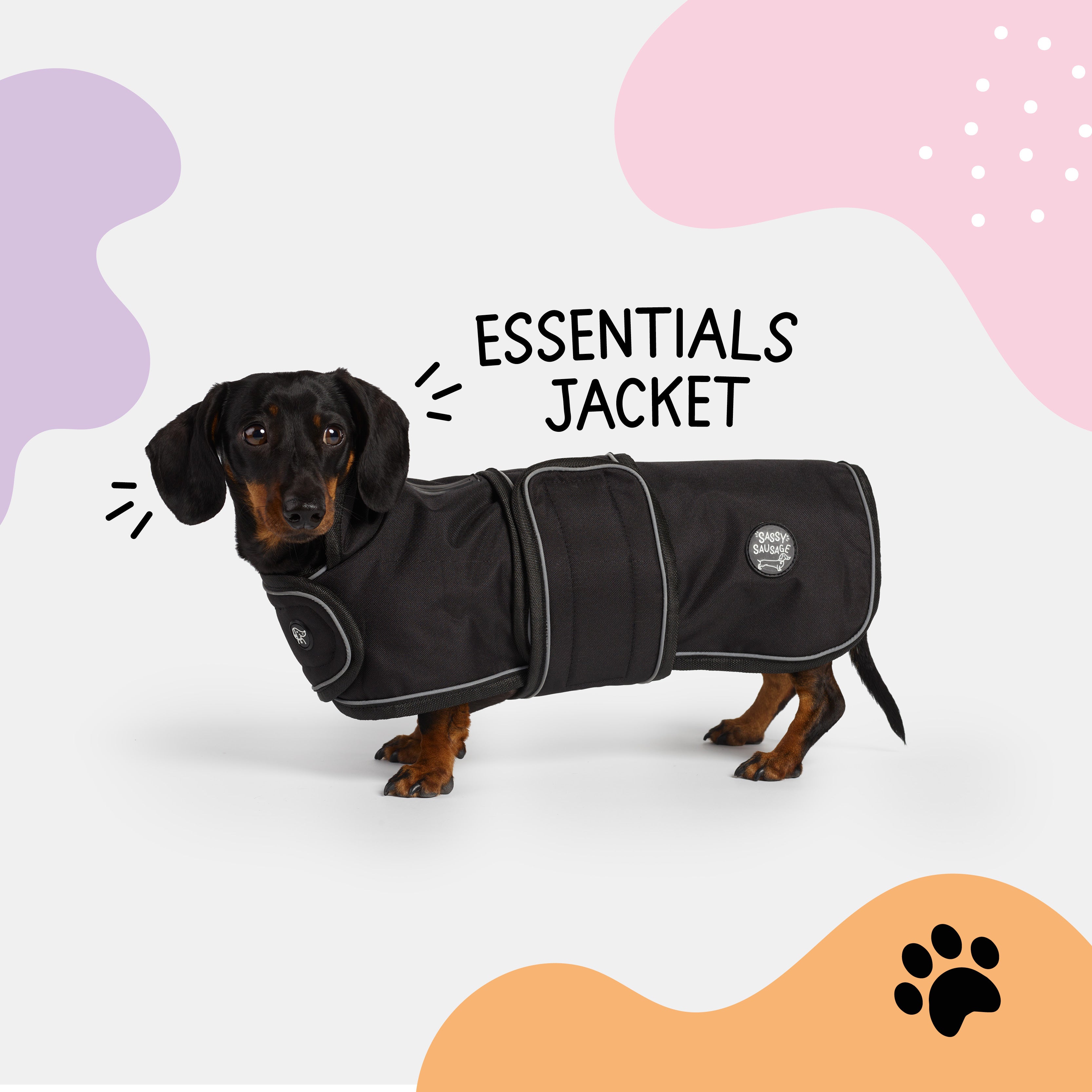 Dachshund essentials shop