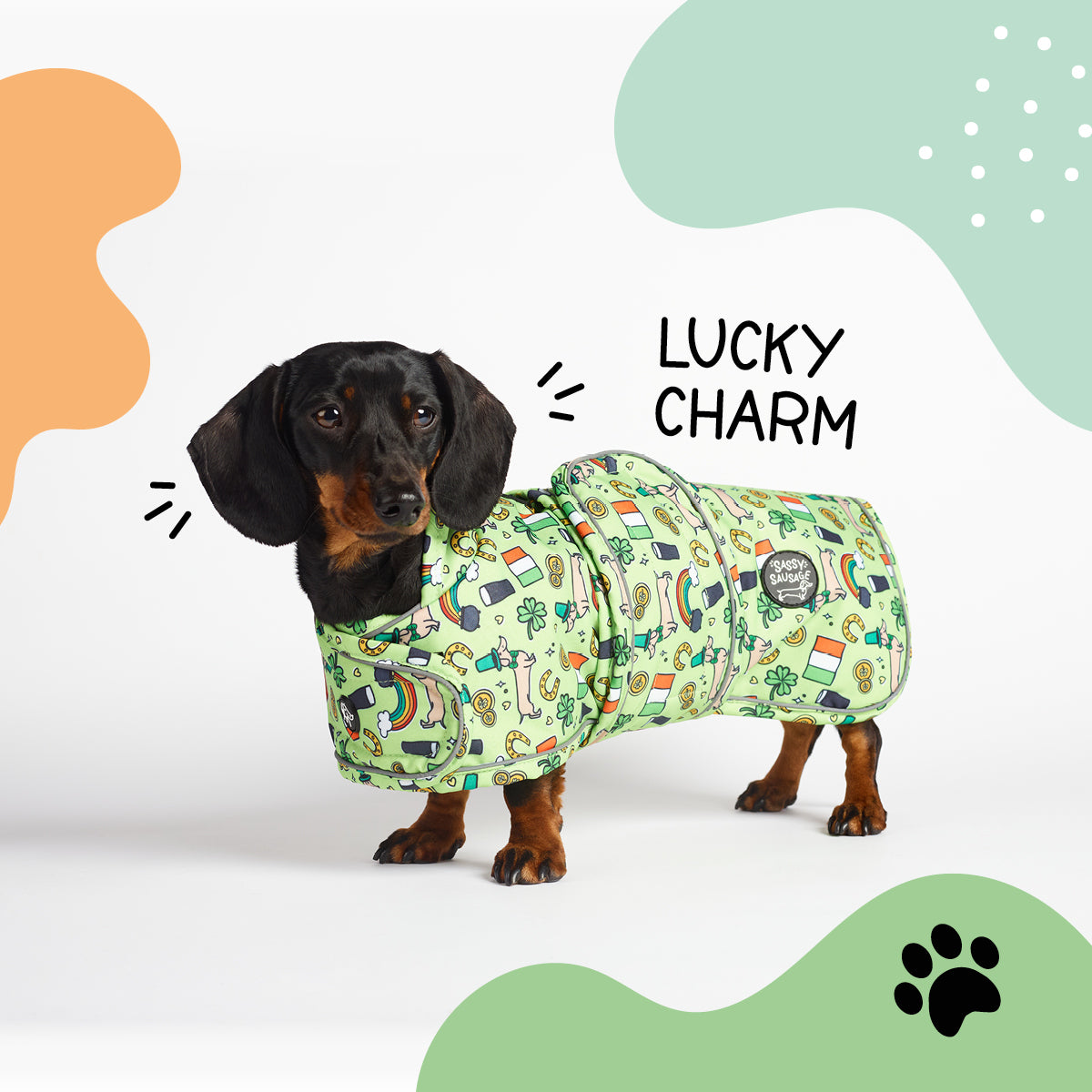 Lucky Charm - Dachshund Jacket