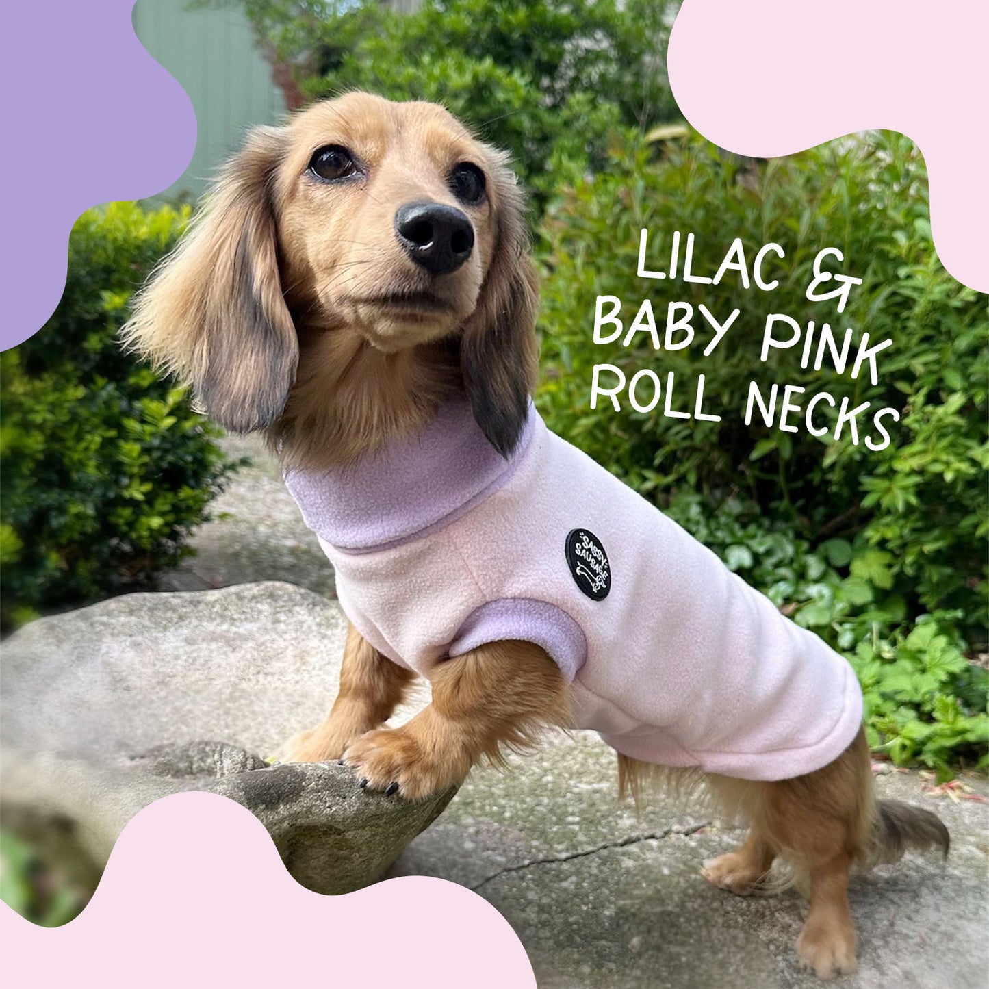 Two-Tone Dachshund Rollneck Jumper