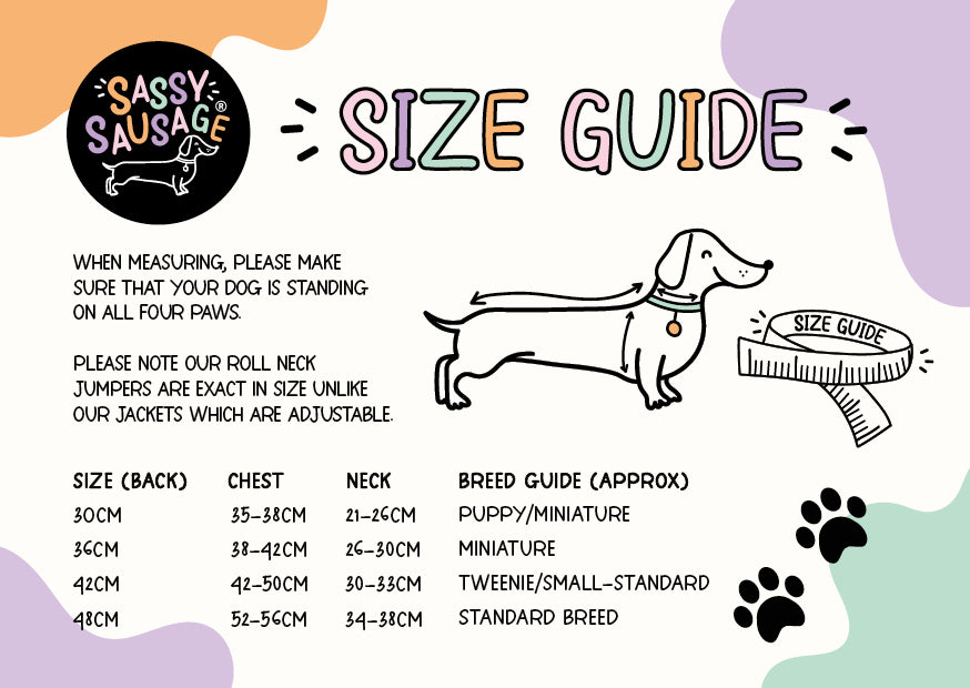 Essentials Rollneck Jumper - Dachshund