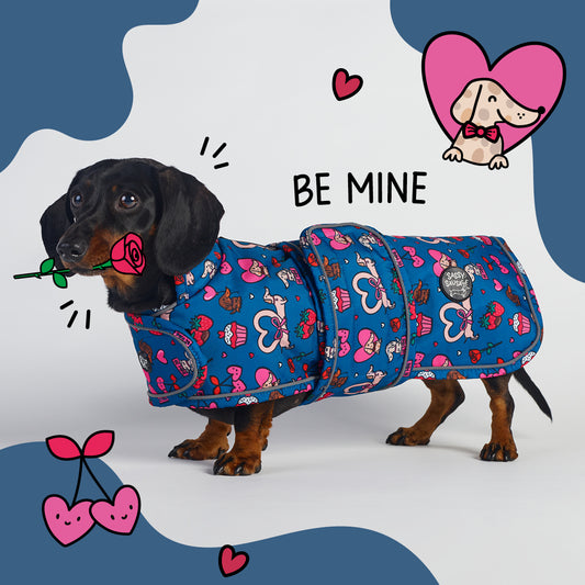 Be Mine - Dachshund Jacket