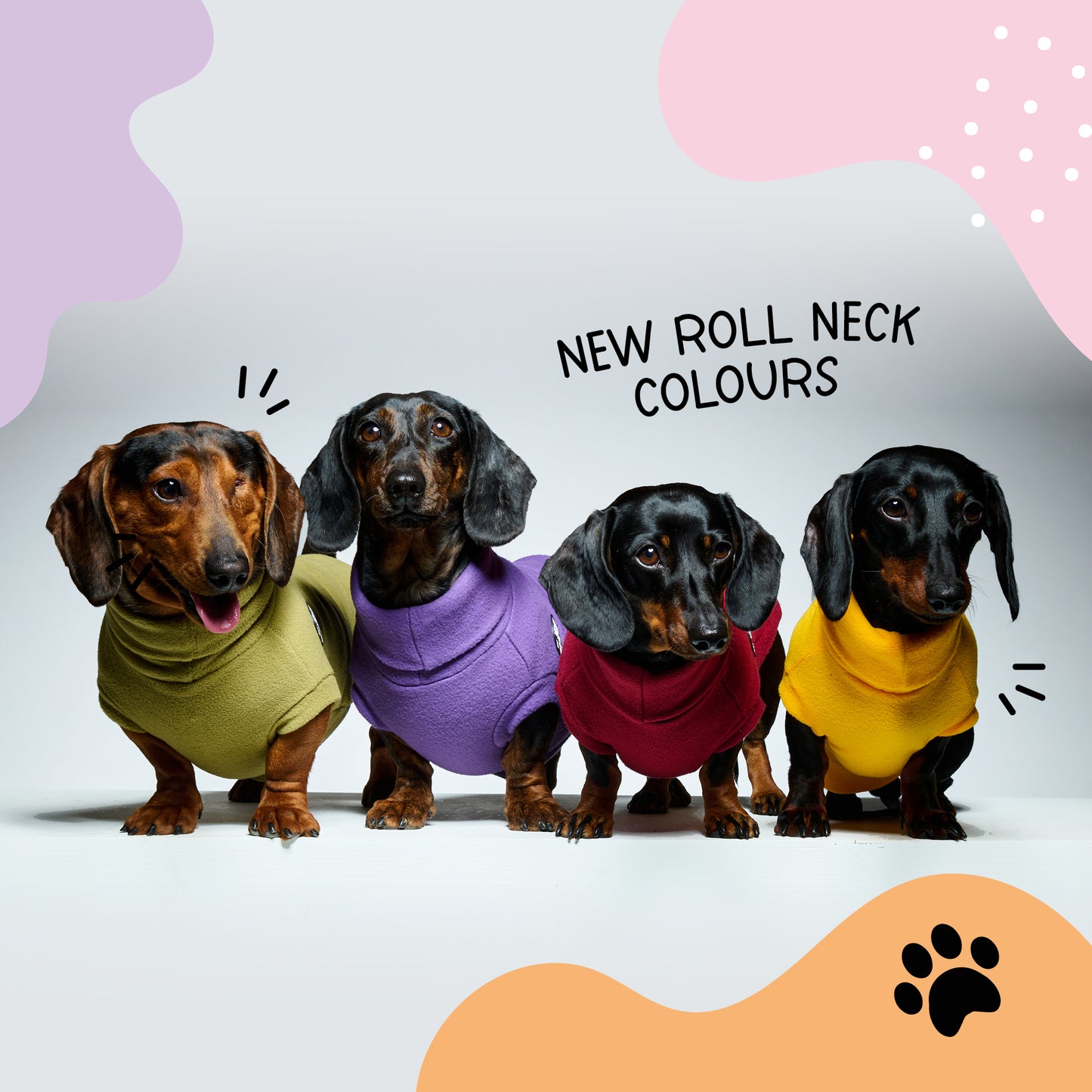 Essentials Rollneck Jumper - Dachshund