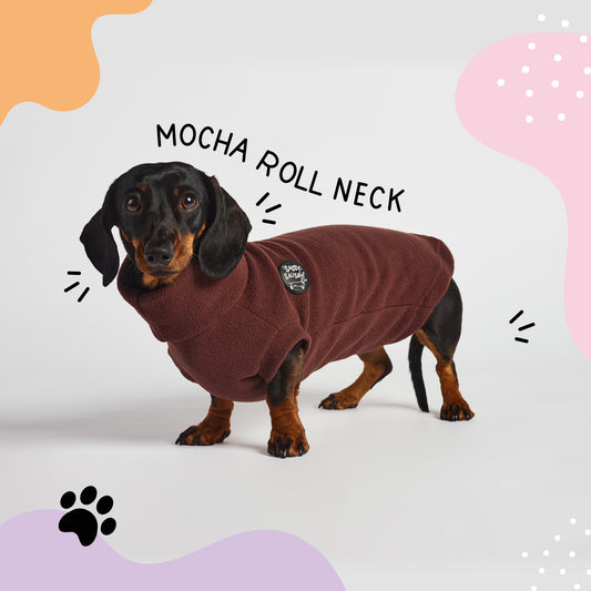 Essentials Rollneck Jumper - Dachshund