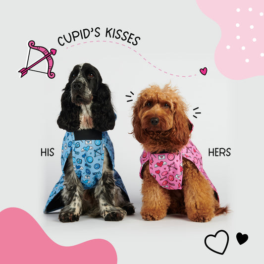 Cupid's Kisses - All Breeds Jacket