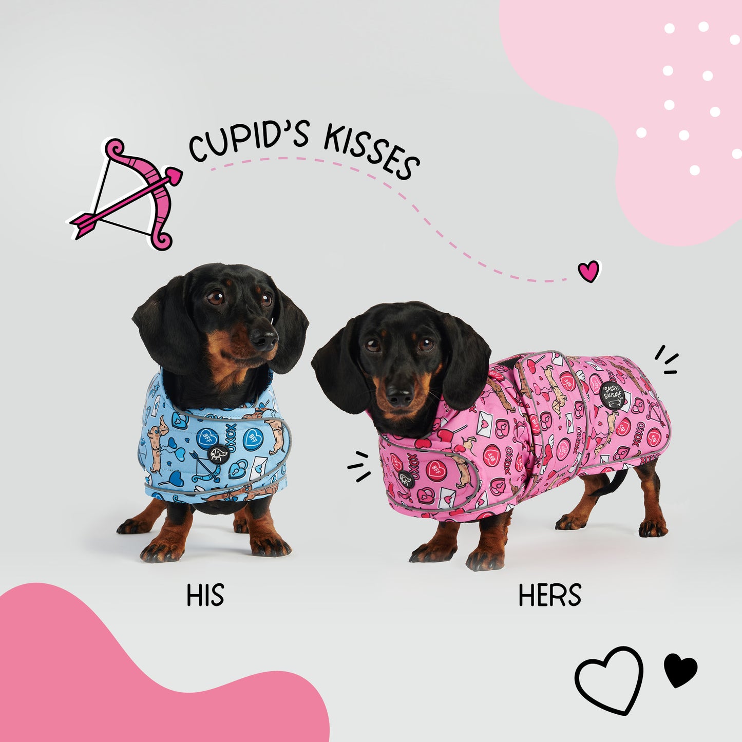 Cupid's Kisses - Dachshund Jacket