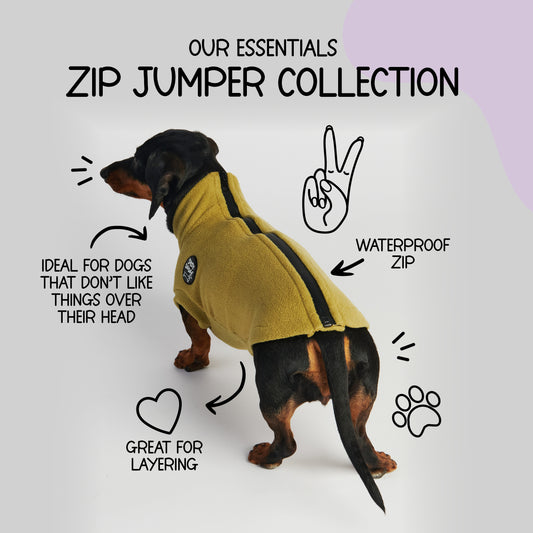 Essentials Zip Jumper