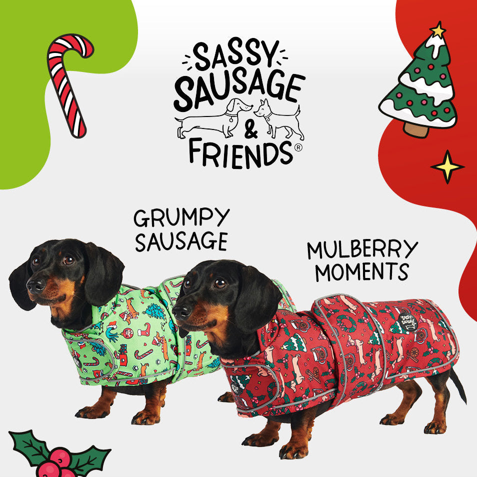 Christmas Dachshund Jackets